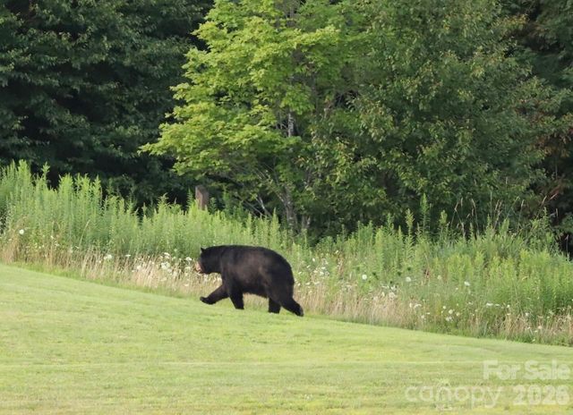 301 Pinnacle Inn Road 3304A, Beech Mountain, NC 28604