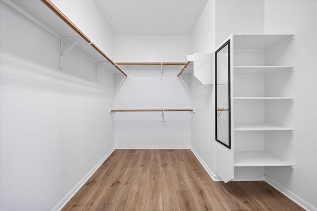 1305 Clary Sage LOOP, Round Rock, TX 78665