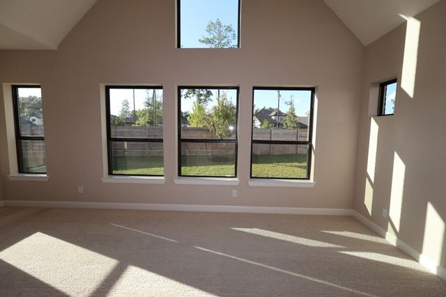 17906 Senecio Street, Conroe, TX 77302