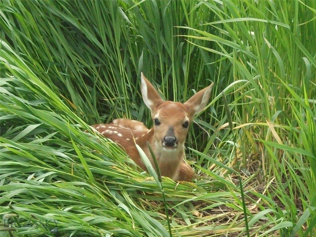 Address unavailable. photo 13