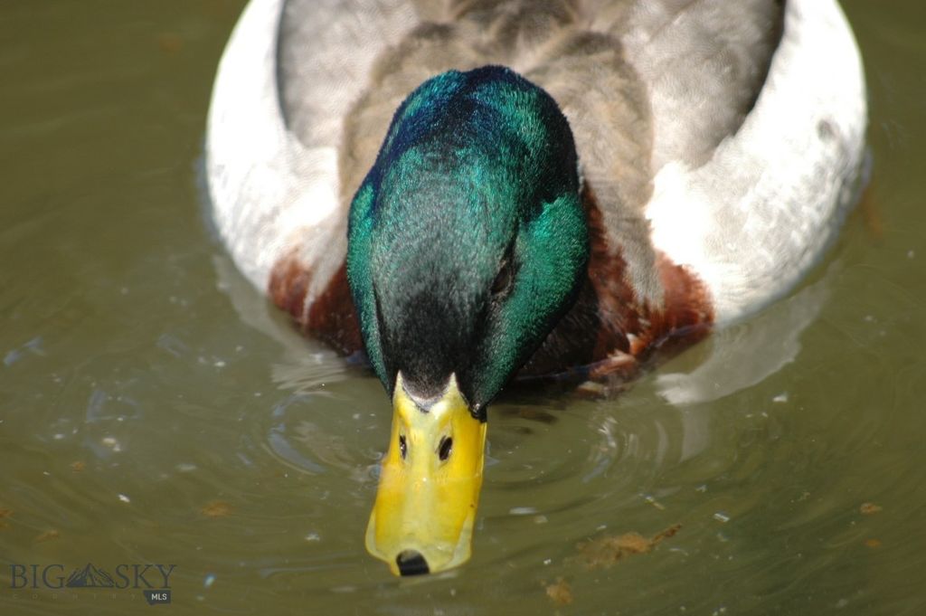 Address unavailable. photo 27