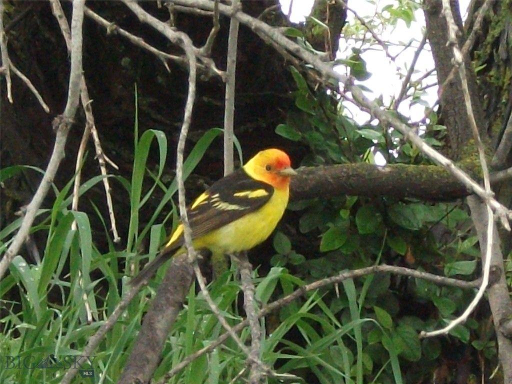 Address unavailable. photo 35