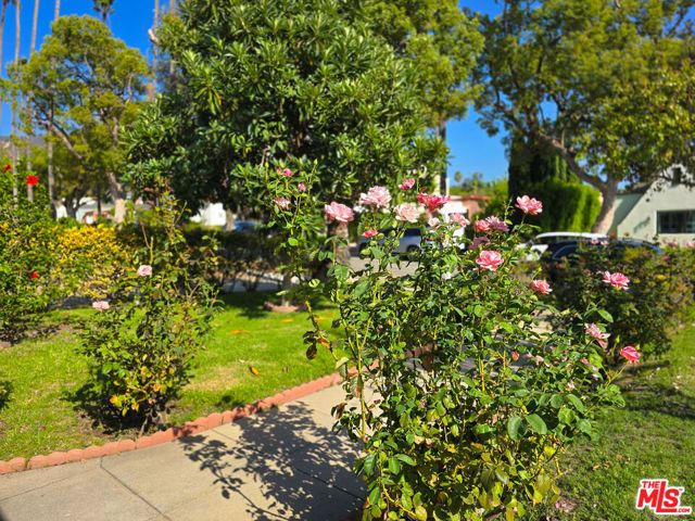 1315 Winchester Avenue, Glendale, CA 91201