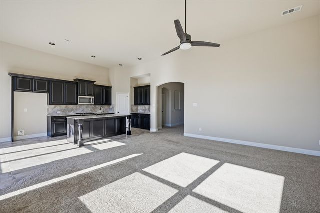 1429 Torrent Drive, Little Elm, TX 75068