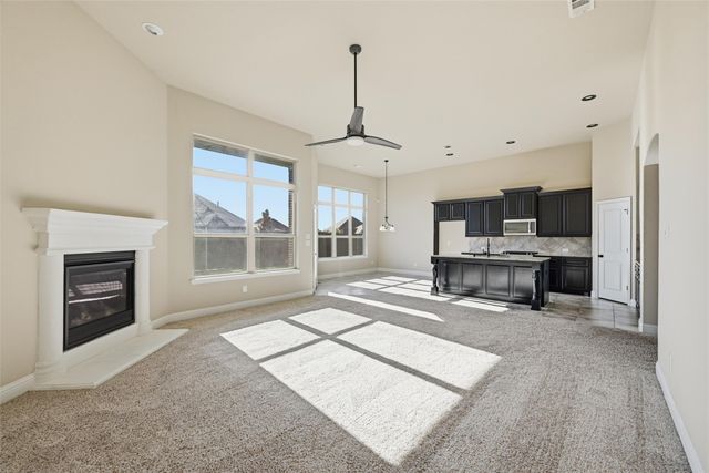 1429 Torrent Drive, Little Elm, TX 75068