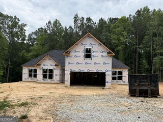 430 Misty Brook Court, Hampton, GA 30228