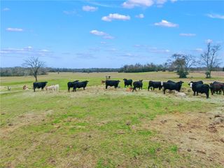 TBD Pleasant Grove Road, Iola, TX 77861