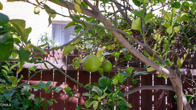4707 Calle Cancun, Camarillo, CA 93012