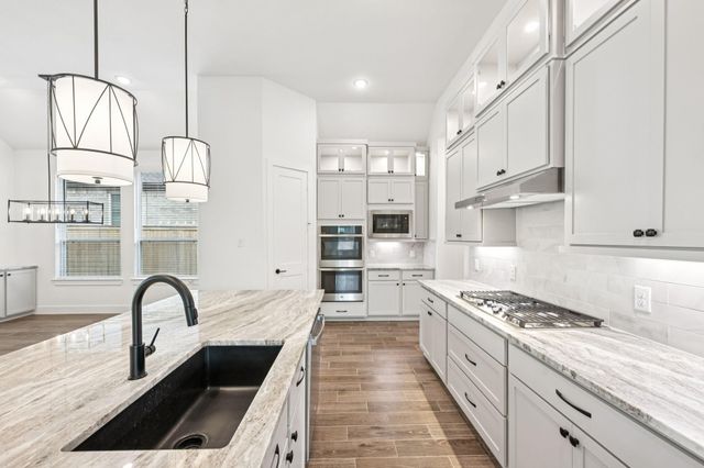 26030 S Outrider Banks, Montgomery, TX 77316