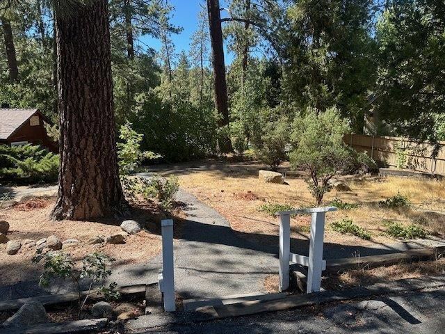 54100 Pine Crest, Idyllwild, CA 92549