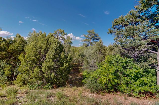 33 Los Pecos Lp, Tijeras, NM 87059