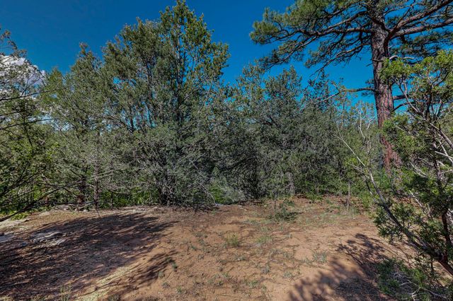 33 Los Pecos Lp, Tijeras, NM 87059