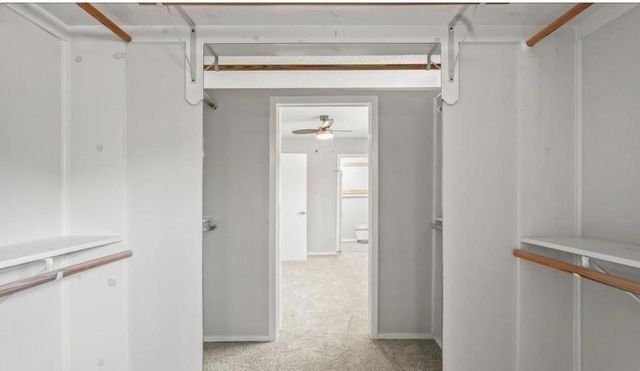 3502 Burlington Street 3, Houston, TX 77006