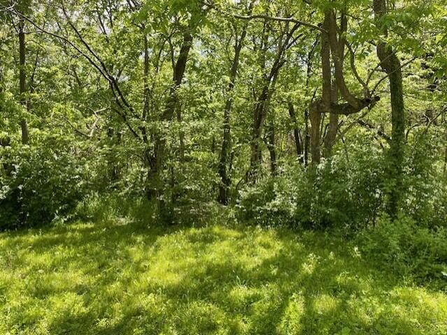 5096 N Farm Rd 197, Springfield, MO 65803