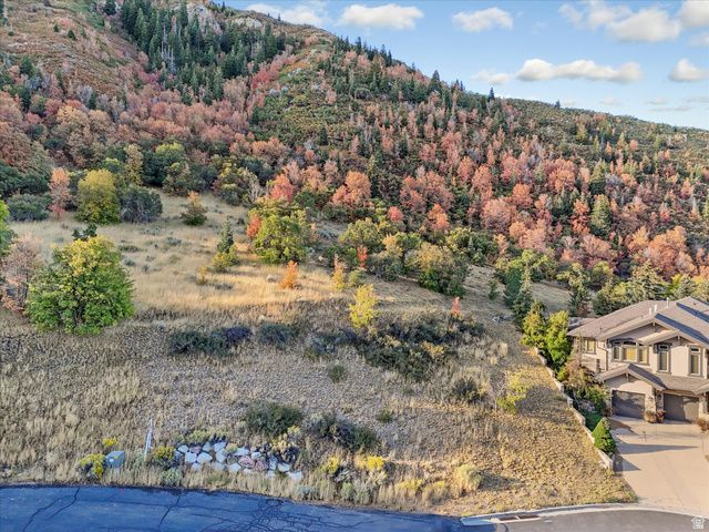 3738 E Catamount Ridge Way Unit 11, Sandy, UT 84092