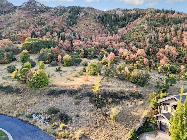 3738 E Catamount Ridge Way Unit 11, Sandy, UT 84092