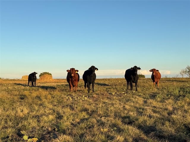 386 County Road 604, Hamilton, TX 76531