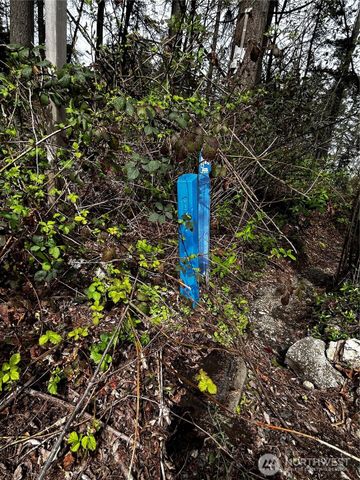 0 Adjacent to Baldwin Rd, Bothell, WA 98012