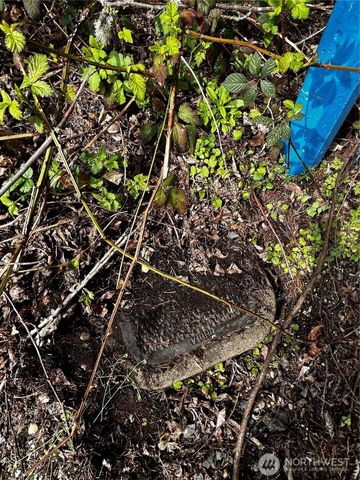 0 Adjacent to Baldwin Rd, Bothell, WA 98012