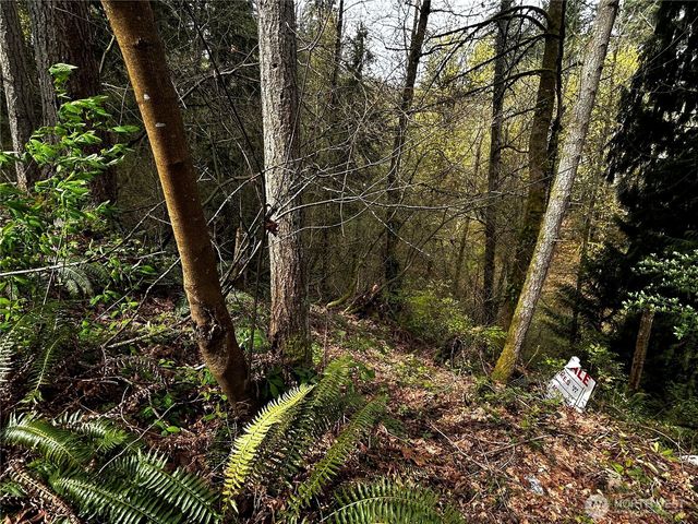 0 Adjacent to Baldwin Rd, Bothell, WA 98012