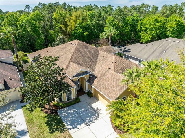 2821 DEVONOAK BOULEVARD, Land O Lakes, FL 34638