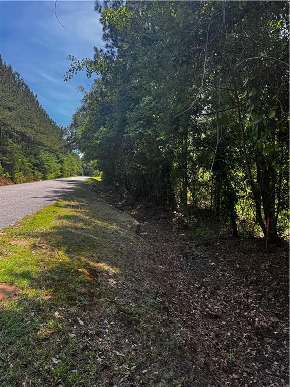 0 Jackson Street, Mount Vernon, AL 36560 — photo 3