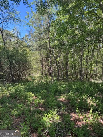 0 Roquemore Road LOT 3, Athens, GA 30607