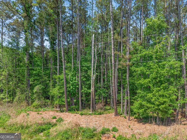 0 Roquemore Road LOT 3, Athens, GA 30607