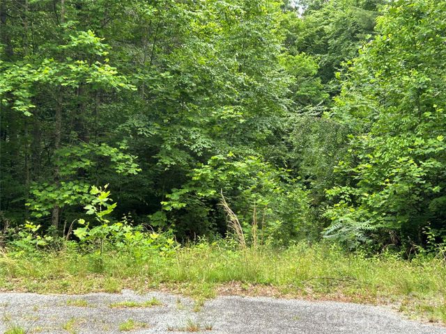 0 Silverstone Drive 16 & 17, Hendersonville, NC 28792