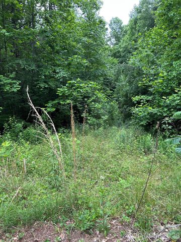 0 Silverstone Drive 16 & 17, Hendersonville, NC 28792