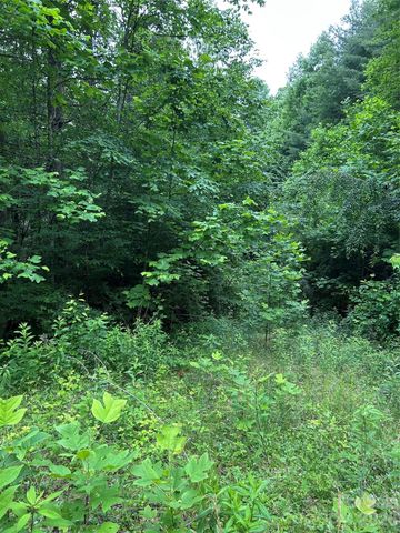 0 Silverstone Drive 16 & 17, Hendersonville, NC 28792