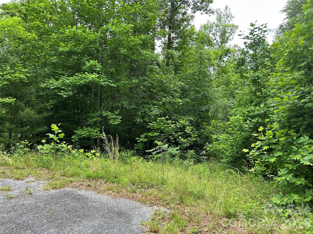 0 Silverstone Drive 16 & 17, Hendersonville, NC 28792