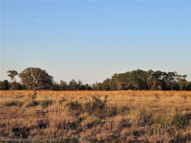 1000 Platt Creek Road, Venus, FL 33960