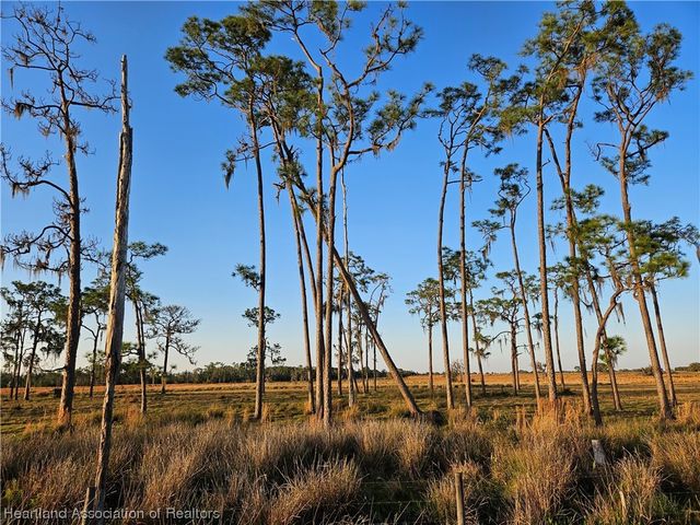 1000 Platt Creek Road, Venus, FL 33960