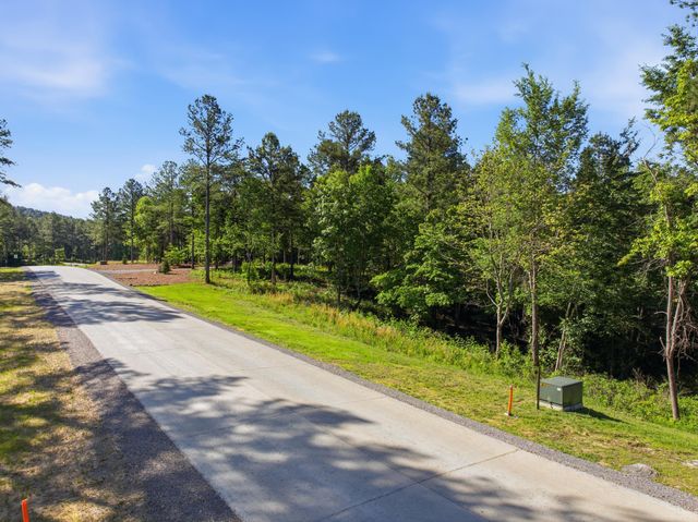 0 Buck Crossing Drive 1009, Guild, TN 37340