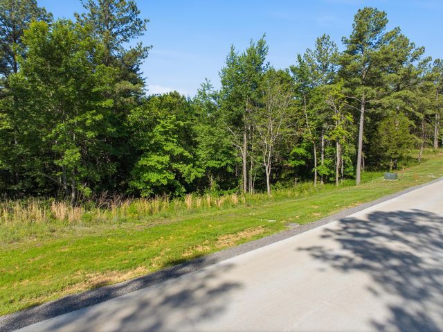 0 Buck Crossing Drive 1009, Guild, TN 37340