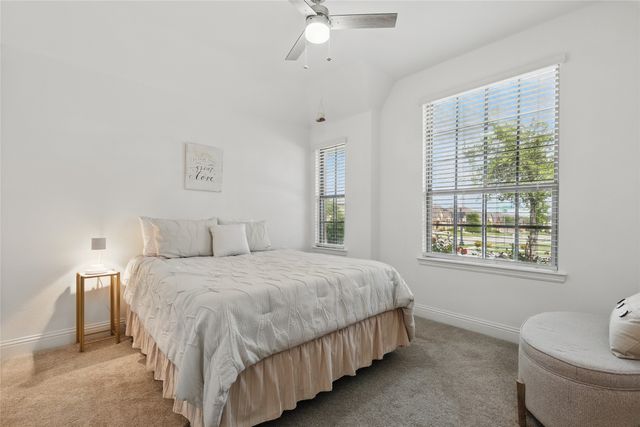 250 Wilmette Avenue, Oak Point, TX 75068