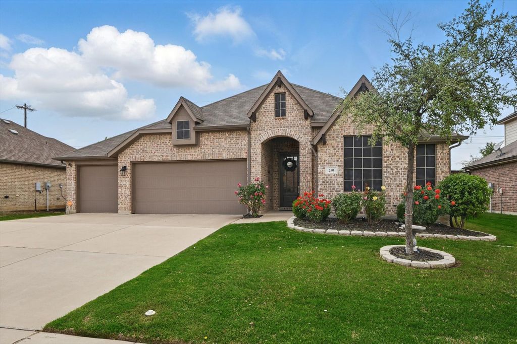 250 Wilmette Avenue, Oak Point, TX 75068