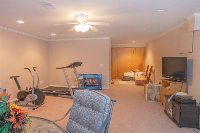 17190 Apollo Drive, Big Rapids, MI 49307