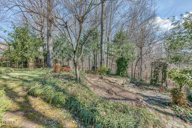 8 University Place, Johnson City, TN 37604