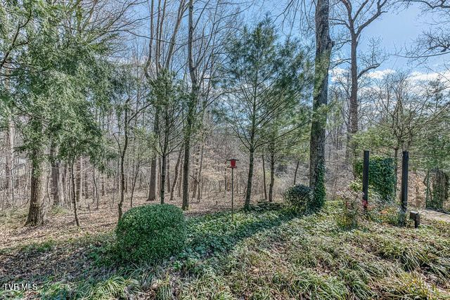 8 University Place, Johnson City, TN 37604