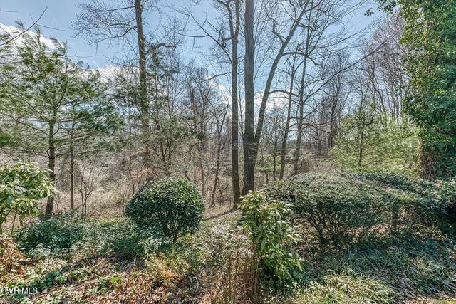 8 University Place, Johnson City, TN 37604