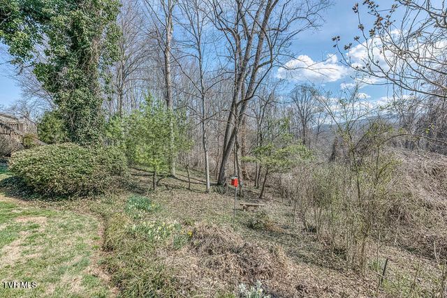 8 University Place, Johnson City, TN 37604