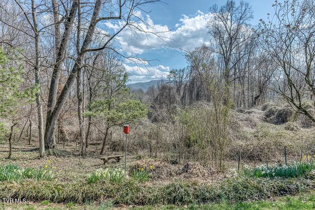 8 University Place, Johnson City, TN 37604