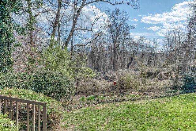 8 University Place, Johnson City, TN 37604