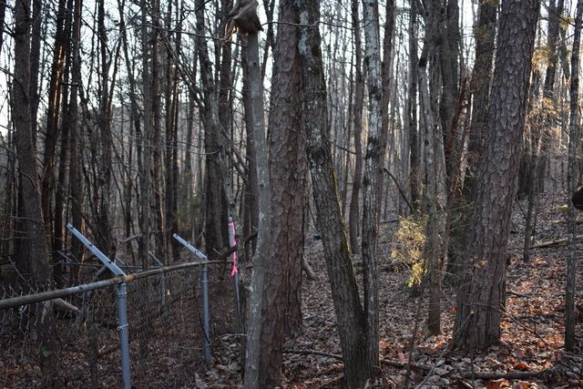 1 Eldridge Lane SW, Cleveland, TN 37311