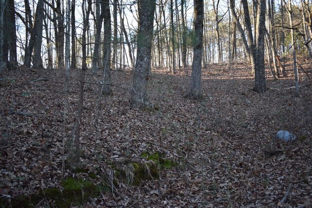 1 Eldridge Lane SW, Cleveland, TN 37311