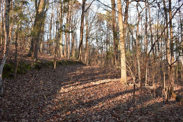 1 Eldridge Lane SW, Cleveland, TN 37311