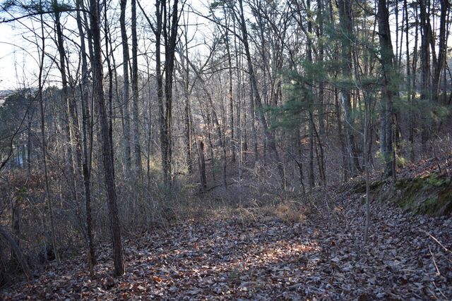 1 Eldridge Lane SW, Cleveland, TN 37311