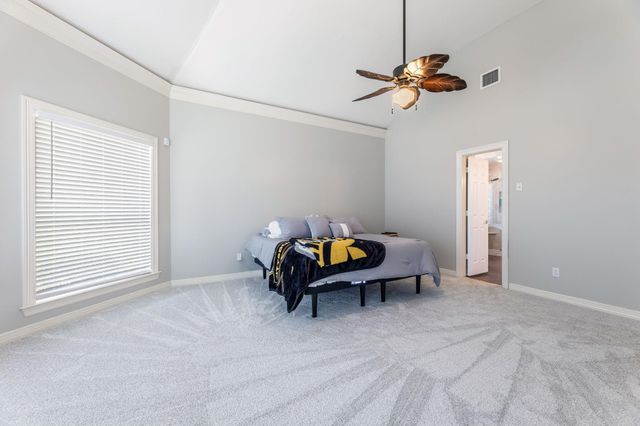 10 Acorn Cluster Court, The Woodlands, TX 77381